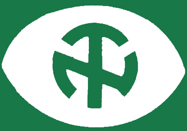 North Texas Mean Green 1968-1971 Primary Logo diy fabric transfer